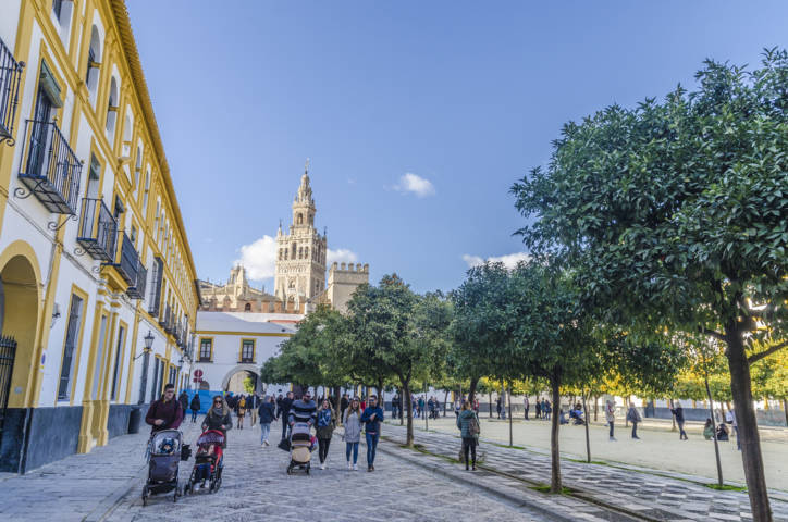 Sevilla 156 - Real Álcazar - Patio de Banderas.jpg